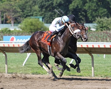 Joeper Rey Rojas Global Legend - Horse Profile - BloodHorse