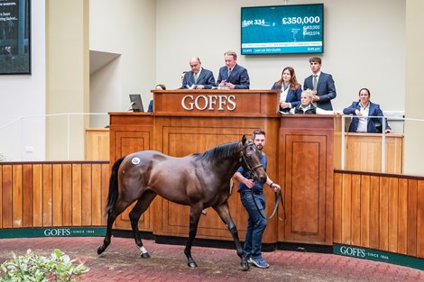 Dreams come true at Doncaster as Tasleet Colt tops the sale