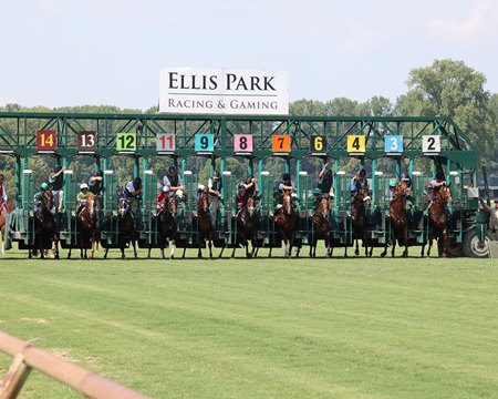 Racing at Ellis Park