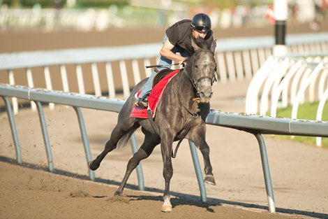 King’s Plate Spotlights Canadian Equine Achievement