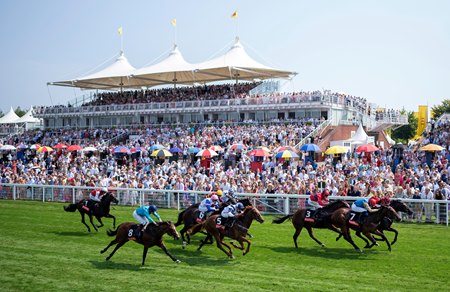 Black Forza (rail side, furthest right) gets his nose down for the win in the Richmond Stakes at Goodwood Racecourse