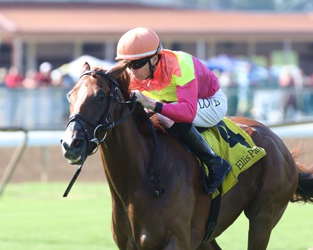 Highway Robber wins the KY Downs Preview Turf Cup Stakes at Ellis Park