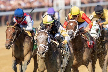 Showcase wins the Saratoga Special Stakes at Saratoga Race Course