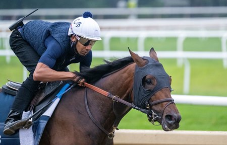Sierra Leone training at Saratoga Race Course in the summer of 2024