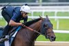 Chad Brown trained Sierra Leone with exercise rider Kris Bon has a final breeze on the Oklahoma Training Track  before next Saturday’s Travers Stakes at the Saratoga Race Course Saturday Aug 17, 2024 in Saratoga Springs, N.Y.  Photo by Skip Dickstein