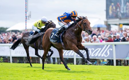 The Lion In Winter wins the Acomb Stakes at York Racecourse
