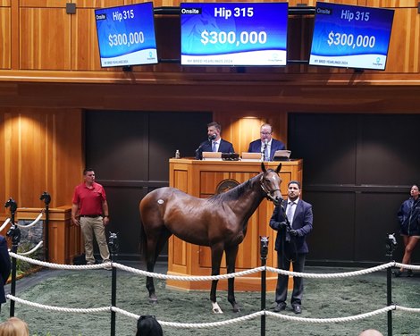 Gross and average values ​​increase at Fasig-Tipton New York brute sale