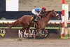 Subsanador(#6) with Jockey Mike Smith riding won the $250,000 Grade III Philip H. Iselin Stakes on Saturday August 17, 2024 at Monmouth Park Racetrack in Oceanport, NJ Photo By Bill Denver/EQUI-PHOTO