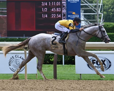 Sandman breaks his maiden at Saratoga Race Course