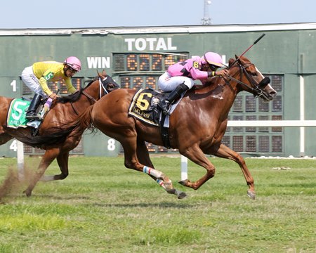 Alogon wins the Parx Dash at Parx Racing 