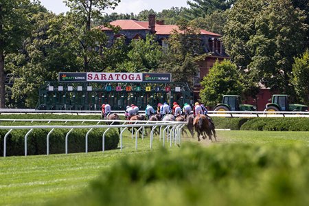 Turf racing at Saratoga