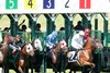 Scenics - West Virginia Derby Day - MNR - 080424