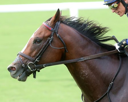 Trikari wins the 2024 Secretariat Stakes at Colonial Downs