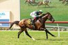 Stay Hot and jockey Antonio Fresu win the $100,000 La Jolla Handicap, Sunday, August 4, 2024 at Del Mar Thoroughbred Club, Del Mar CA.
&#169; BENOIT PHOTO