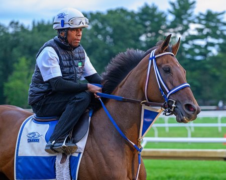 After three straight grade 1 wins over fillies, Thorpedo Anna will face males in the Travers Stakes