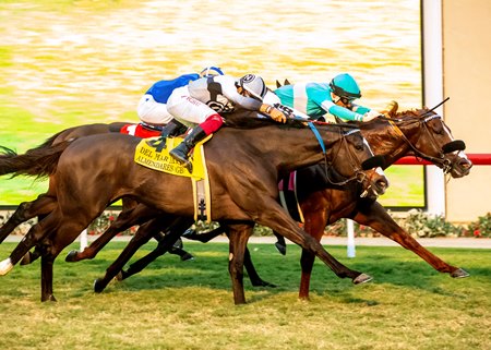 Conclude outlasts Almendares to win the Del Mar Mile Stakes at Del Mar 