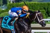 The Queens M G with jockey Dylan Davis on the way to the win in the 108th running of The Adirondack at the Saratoga Race Course Sunday Aug 4, 2024 in Saratoga Springs, N.Y.  Photo  by Skip Dickstein