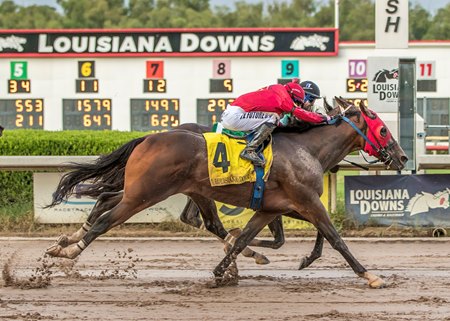 Racing at Louisiana Downs