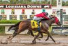 Allnight Moonlight wins the 2024 Louisiana Cup Turf Classic Stakes at Louisiana Downs