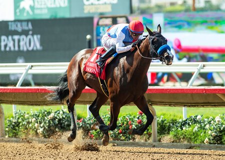 Nooni wins the Sorrento Stakes at Del Mar