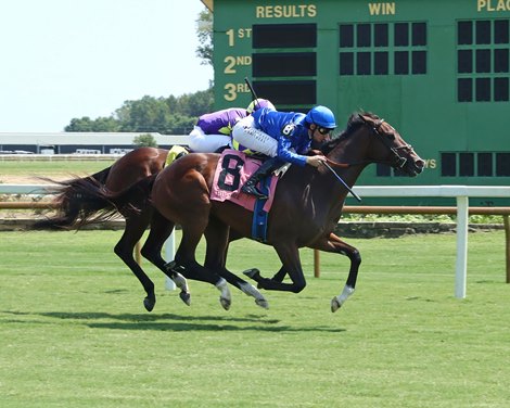 Half-sister of Santin shines in the Ellis Turf Score