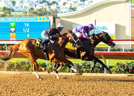 Raging Torrent wins the Pat O'Brien Stakes over The Chosen Vron at Del Mar