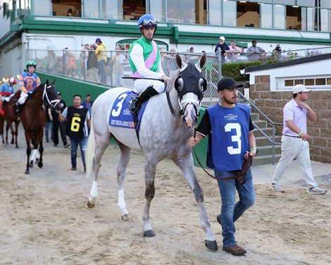 Pennsylvania Derby at a Glance: Dragoon Guard Poised