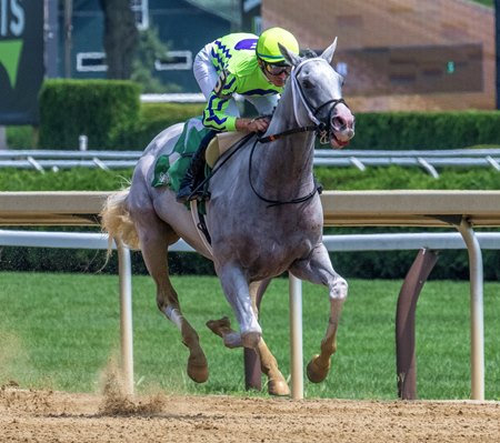 Next wins the Birdstone Stakes at Saratoga Race Course