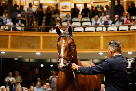 Records broken at Saratoga Select Yearling Sale