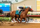 Mixto and jockey Kyle Frey, outside, overpower Full Serrano (Reylu Gutierrez), inside, to win the Grade I,$1,000,000 FanDuel Racing Pacific Classic, Saturday, August 31, 2024 at Del Mar Thoroughbred Club, Del Mar CA.
© BENOIT PHOTO