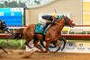 Mixto and jockey Kyle Frey, outside, overpower Full Serrano (Reylu Gutierrez), inside, to win the Grade I,$1,000,000 FanDuel Racing Pacific Classic, Saturday, August 31, 2024 at Del Mar Thoroughbred Club, Del Mar CA.
&#169; BENOIT PHOTO