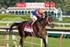 Fierceness with John Velazquez win the 155th Running of the Travers (GI) at Saratoga on August 24, 2024. Photo By: Chad B. Harmon