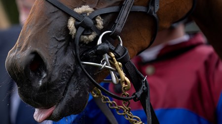 Content after winning the Yorkshire Oaks on August 22, 2024
York 22.8.24 Pic: Edward Whitaker