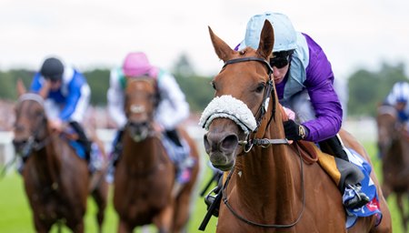 See The Fire wins the 2024 Strensall Stakes at York