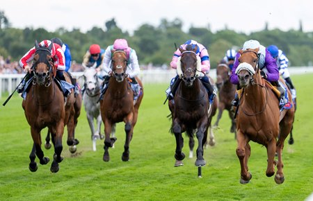 See The Fire (far right) wins the 2024 Strensall Stakes at York Racecourse