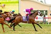 Anthony Fanticola&#39;s Motorious and jockey Antonio Fresu win the Grade III $150,000 Green Flash Handicap Saturday, August 31, 2024 at Del Mar Thoroughbred Club, Del Mar, CA. 
Benoit Photo