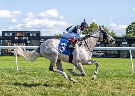 The Grey Wizard wins the Cape Henlopen Stakes at Delaware Park