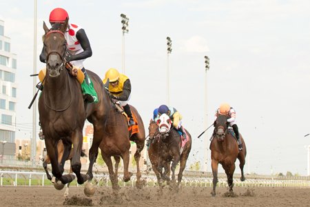 Ticker Tape Home captures the Seaway Stakes at Woodbine