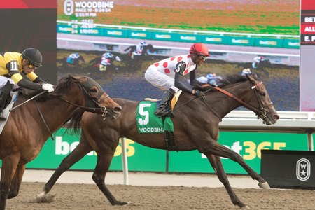 Ticker Tape Home wins the Seaway Stakes at Woodbine