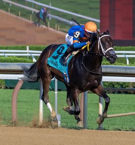 The Queens M G wins the Adirondack Stakes at Saratoga Race Course