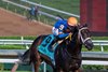 The Queens M G with jockey Dylan Davis on the way to the win in the 108th running of The Adirondack at the Saratoga Race Course Sunday Aug 4, 2024 in Saratoga Springs, N.Y.  Photo  by Skip Dickstein