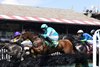 Jimmy P wins the 2024 Jonathan Sheppard Handicap at Saratoga Race Course