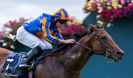 The Lion In Winter wins the Acomb Stakes at York Racecourse