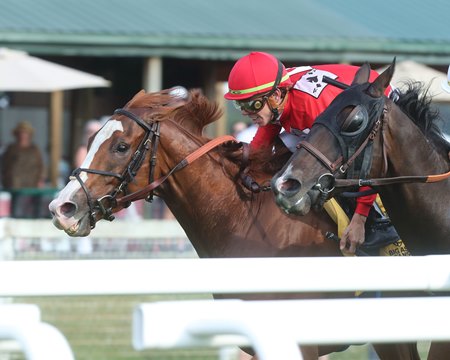 Nineeleventurbo (inside) finishes second by a head in the 2024 Tapit Stakes, and is back to try to go one better in the opening-day stakes at Kentucky Downs