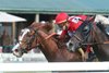 Irish Aces wins the Big Ass Fans Tapit Stakes at Kentucky Downs, August 29, 2024. Pocket Aces Racing, LLC, owner; Brendan P. Walsh, trainer; Tyler Gaffalione, jockey
