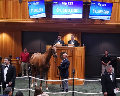 Gun Runner mare fetches .5 million at Saratoga auction