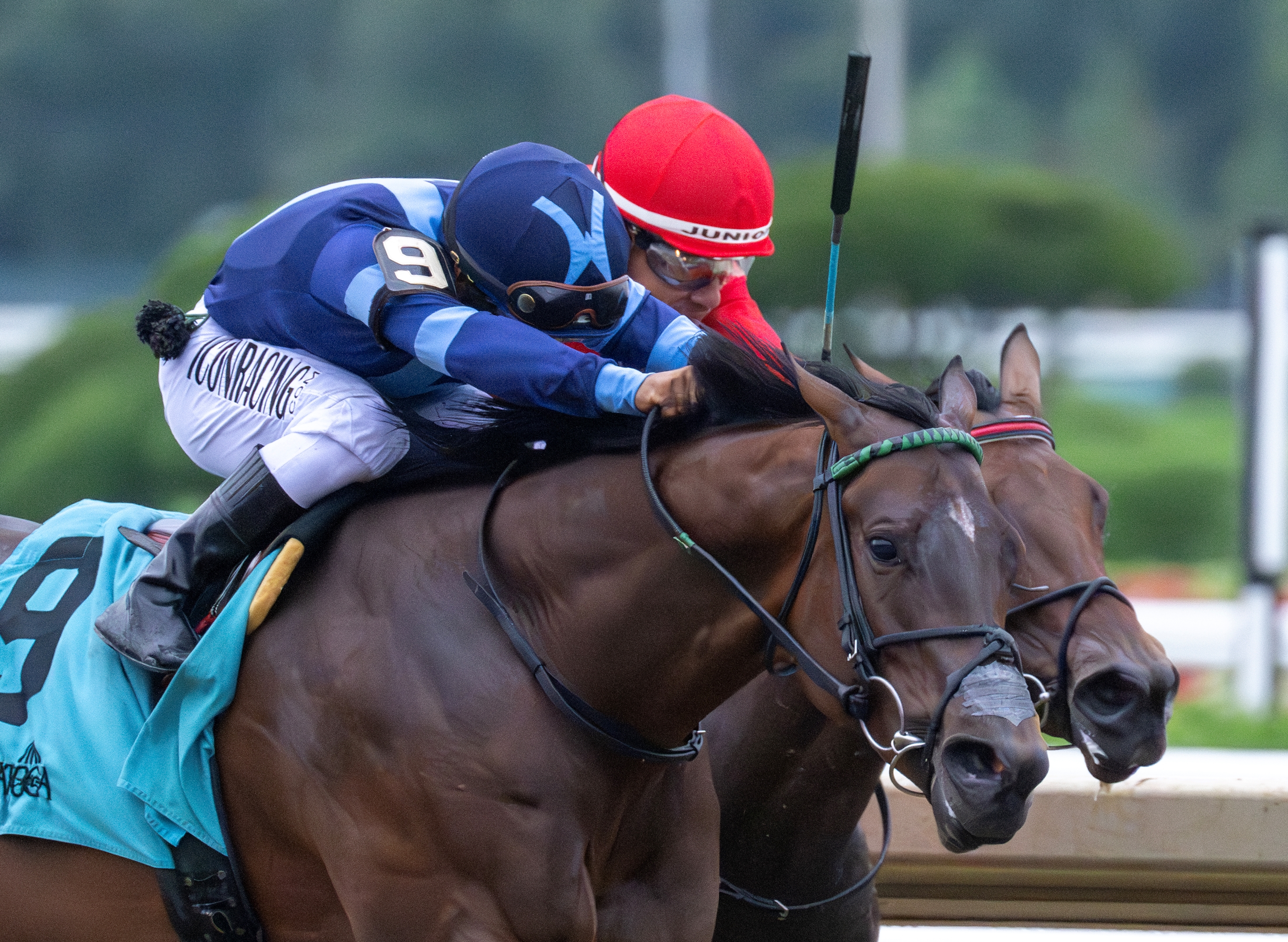 Brightwork - Horse Profile - BloodHorse