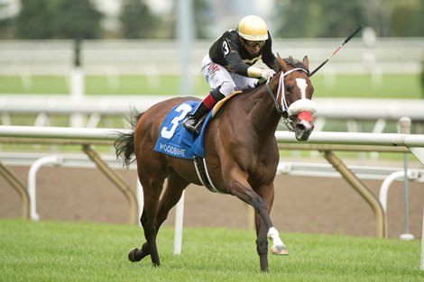 Full Count Felicia Strikes Out Canadian Stakes Rivals