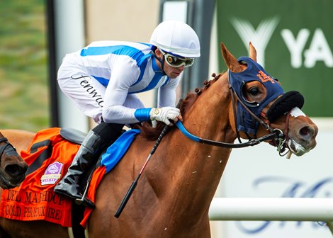 ゴールドフェニックスがジョンヘンリー競馬場でダマトカルテットを圧倒