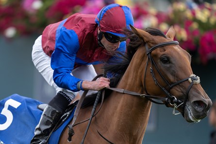 Content (Ryan Moore)  win the Yorkshire Oaks
York 22.8.24 Pic: Edward Whitaker